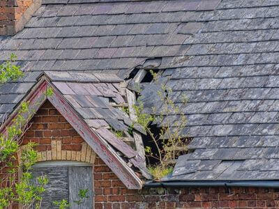 Professional emergency water extraction services services in Houstones - water damage restoration service